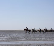 Reiten durch das Watt.jpg