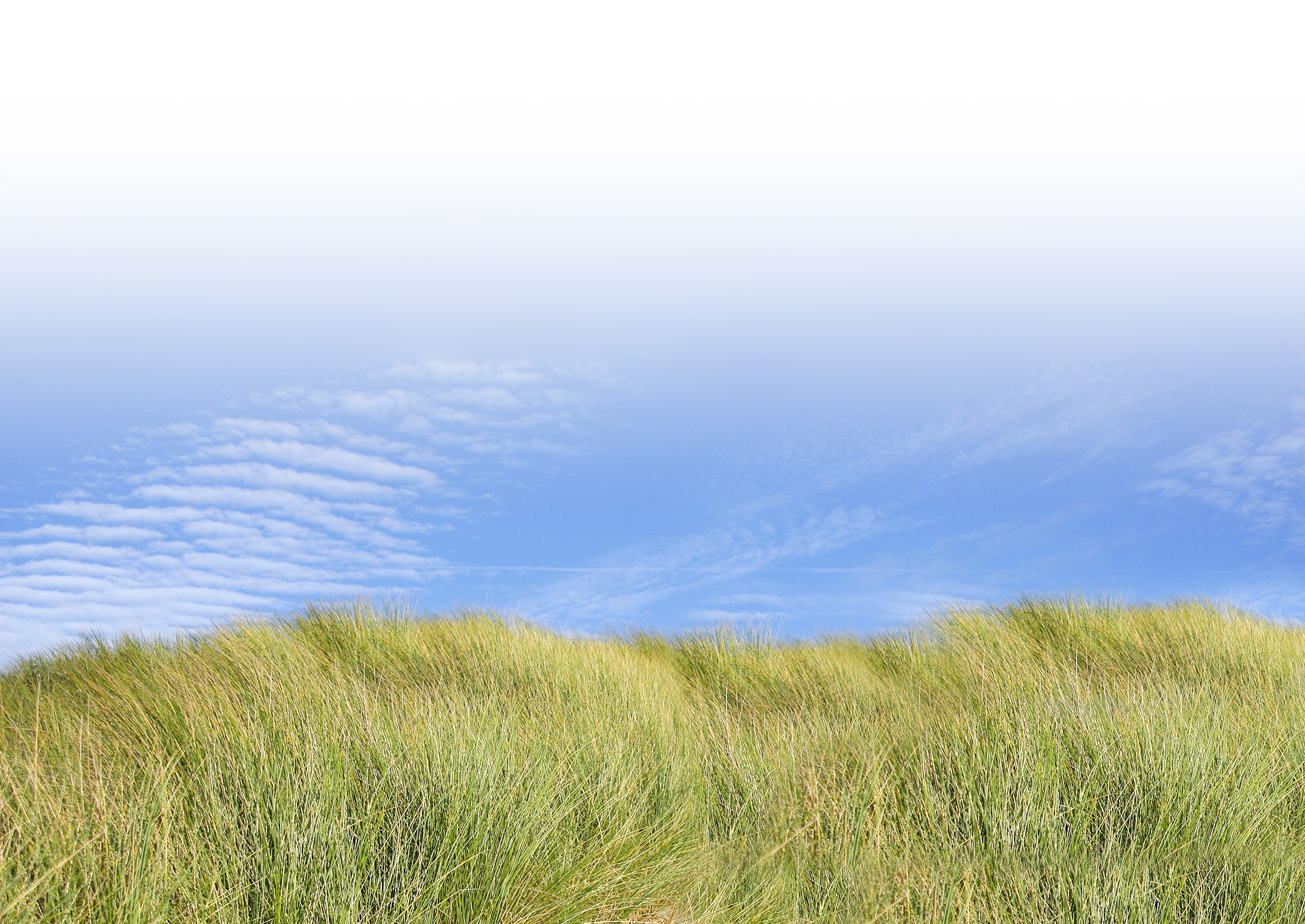 beach-563073